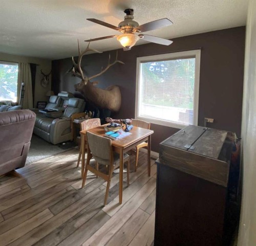 85 Ingram Park Drive, Brooks, AB - Indoor Photo Showing Living Room