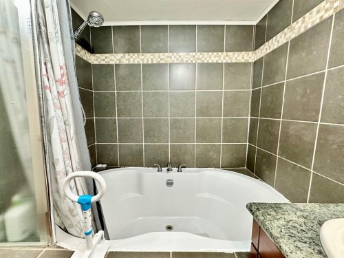 168 2 Avenue West, Tilley, AB - Indoor Photo Showing Bathroom