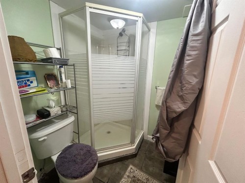 930 Newcastle Trail, Drumheller, AB - Indoor Photo Showing Bathroom