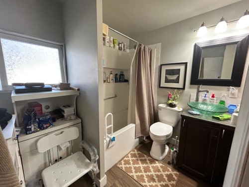 930 Newcastle Trail, Drumheller, AB - Indoor Photo Showing Bathroom