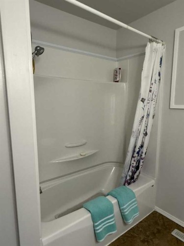 115 Stephens Crescent, Hanna, AB - Indoor Photo Showing Bathroom