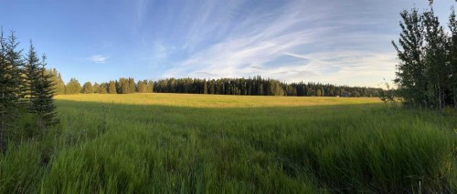 Range Road 52, Rural Mountain View County, AB 