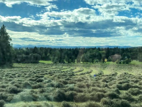 Range Road 52, Rural Mountain View County, AB 