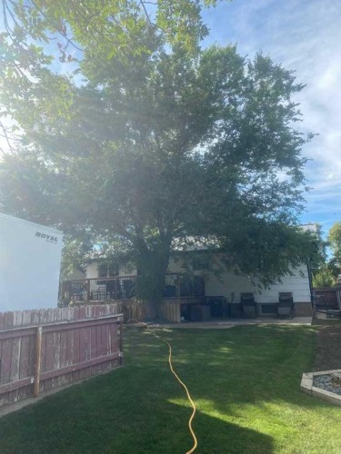 124 Ingram Park Drive, Brooks, AB 