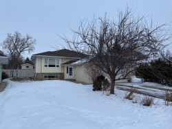 1148 Newcastle Road  Drumheller, AB T0J 0Y2