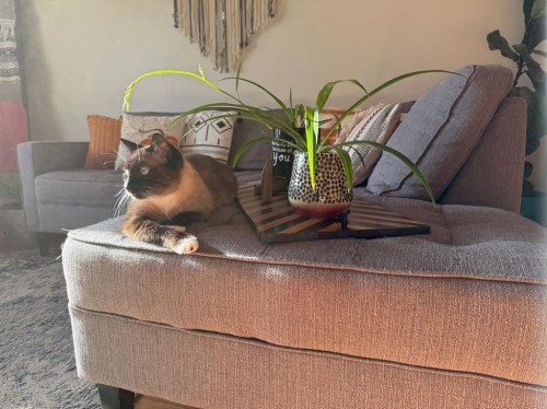 1148 Newcastle Road, Drumheller, AB 