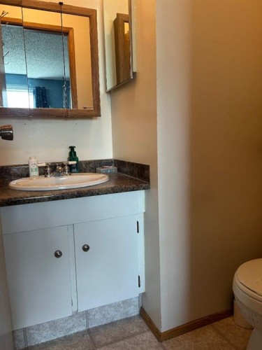 44 Wildrose Crescent West, Brooks, AB - Indoor Photo Showing Bathroom