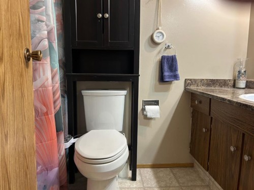 44 Wildrose Crescent West, Brooks, AB - Indoor Photo Showing Bathroom