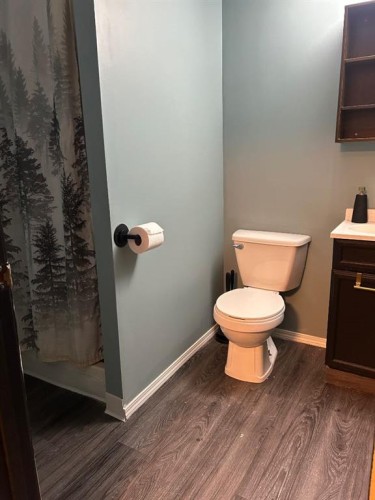44 Wildrose Crescent West, Brooks, AB - Indoor Photo Showing Bathroom