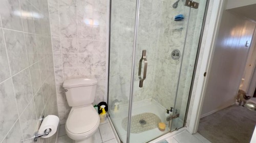 513 6Th Ave West, Hanna, AB - Indoor Photo Showing Bathroom