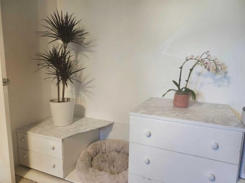 104 23 Street Nw, Drumheller, AB - Indoor Photo Showing Bathroom