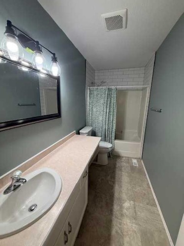830 Birchwood Close, Drumheller, AB - Indoor Photo Showing Bathroom