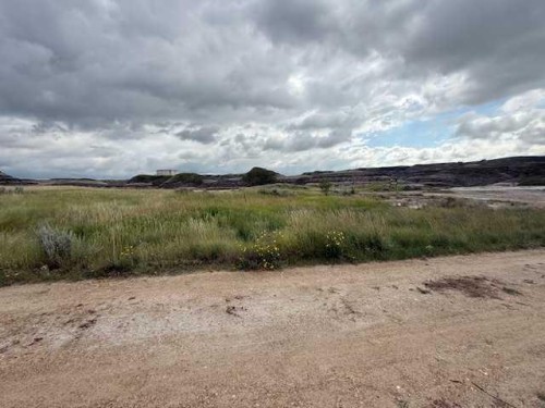 830 Birchwood Close, Drumheller, AB - Outdoor With View