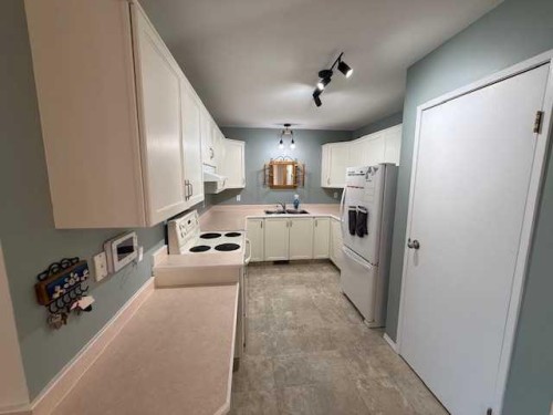 830 Birchwood Close, Drumheller, AB - Indoor Photo Showing Kitchen With Double Sink