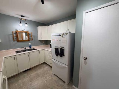 830 Birchwood Close, Drumheller, AB - Indoor Photo Showing Kitchen With Double Sink