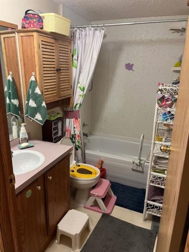 331 Gleichen Street, Gleichen, AB - Indoor Photo Showing Bathroom