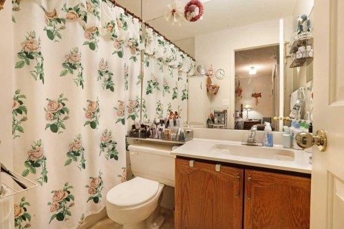 28 Parkland Place E, Brooks, AB - Indoor Photo Showing Bathroom