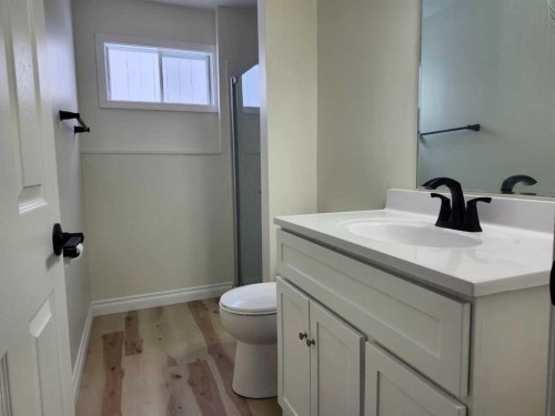 1318 Newcastle Trail, Drumheller, AB - Indoor Photo Showing Bathroom