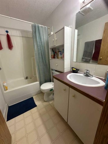 200 Upland Boulevard West, Brooks, AB - Indoor Photo Showing Bathroom