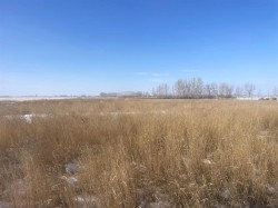 HWY 550 & RR155 RR155  Rural Newell, County Of, AB T0J 0B5