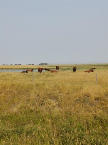 162 Hays Rd 30 N, Hays, AB - Outdoor With View