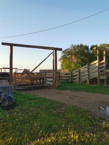 162 Hays Rd 30 N, Hays, AB - Outdoor