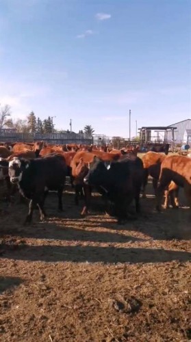 162 Hays Rd 30 N, Hays, AB - Outdoor With View