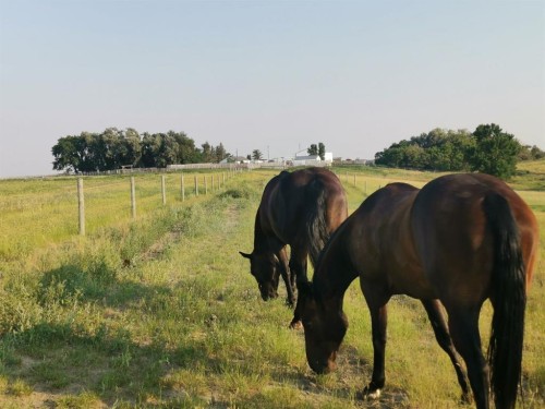 162 Hays Rd 30 N, Hays, AB - Outdoor With View