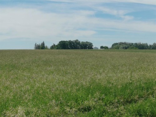 162 Hays Rd 30 N, Hays, AB - Outdoor With View