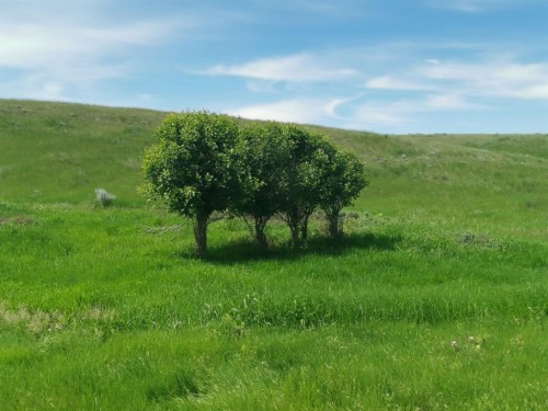162 Hays Rd 30 N, Hays, AB - Outdoor With View