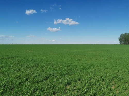 162 Hays Rd 30 N, Hays, AB 