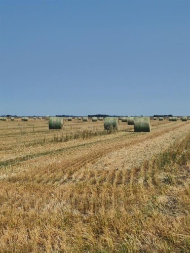 162 Hays Rd 30 N, Hays, AB - Outdoor With View