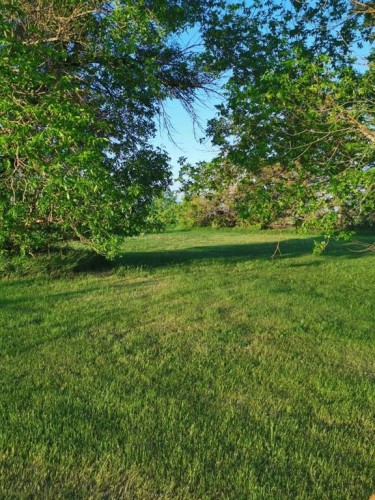 162 Hays Rd 30 N, Hays, AB - Outdoor