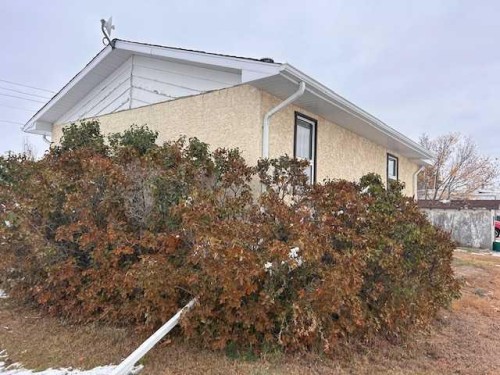 118 2 Avenue West, Cereal, AB - Outdoor