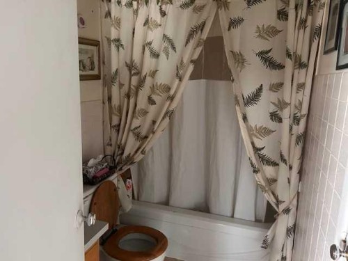 118 2 Avenue West, Cereal, AB - Indoor Photo Showing Bathroom