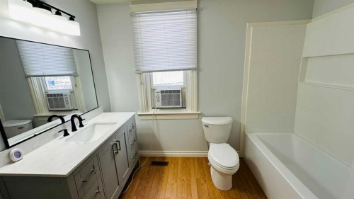 1133 300 Newcastle Place, Drumheller, AB - Indoor Photo Showing Bathroom