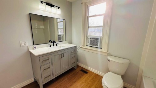1133 300 Newcastle Place, Drumheller, AB - Indoor Photo Showing Bathroom