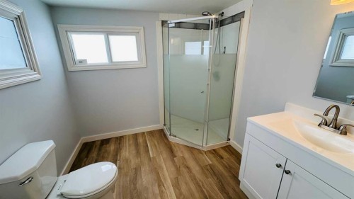 1133 300 Newcastle Place, Drumheller, AB - Indoor Photo Showing Bathroom