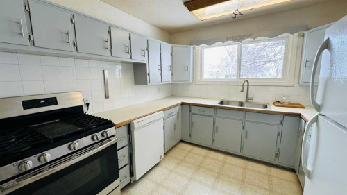 1133 300 Newcastle Place, Drumheller, AB - Indoor Photo Showing Kitchen