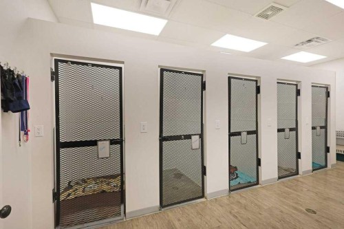 50 Upland Boulevard West, Brooks, AB 