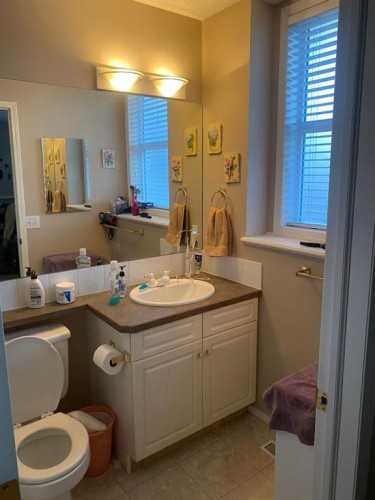 19 Prestwick Green Se, Calgary, AB - Indoor Photo Showing Bathroom