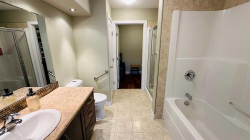 17 Garden Way, Drumheller, AB - Indoor Photo Showing Bathroom