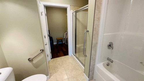 17 Garden Way, Drumheller, AB - Indoor Photo Showing Bathroom