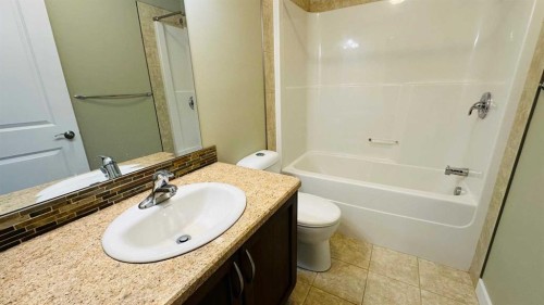 17 Garden Way, Drumheller, AB - Indoor Photo Showing Bathroom