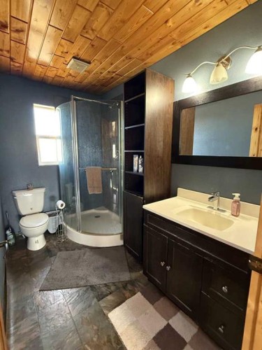 108 5 Avenue, Youngstown, AB - Indoor Photo Showing Bathroom