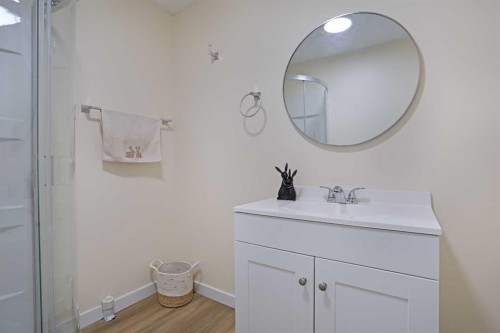 63 Ash Street West, Brooks, AB - Indoor Photo Showing Bathroom