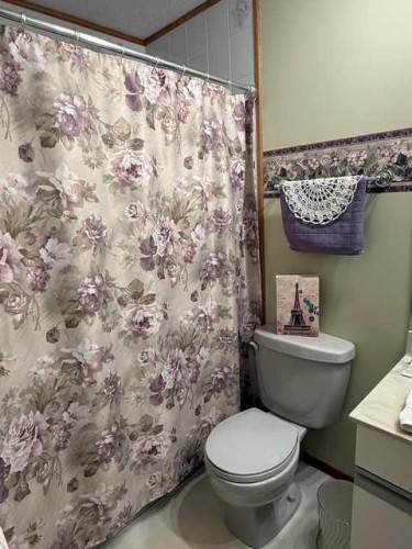 1023 2 Street Se, Drumheller, AB - Indoor Photo Showing Bathroom