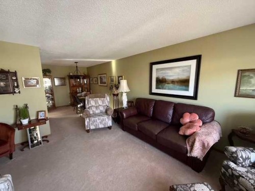 1023 2 Street Se, Drumheller, AB - Indoor Photo Showing Living Room