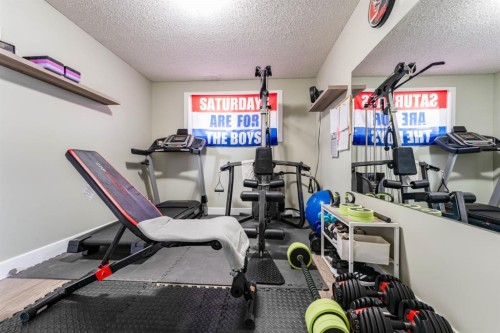 248 5 Street, Drumheller, AB - Indoor Photo Showing Gym Room