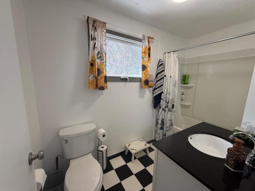 97 Villa Street, Drumheller, AB - Indoor Photo Showing Bathroom